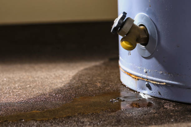 Best Water damage restoration near me  in Brookville, PA