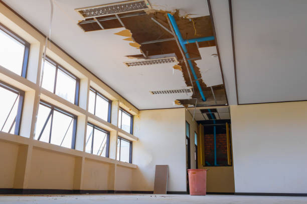 Best Flood damage cleanup  in Brookville, PA