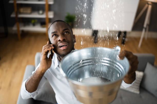 Best Water damage restoration near me  in Brookville, PA