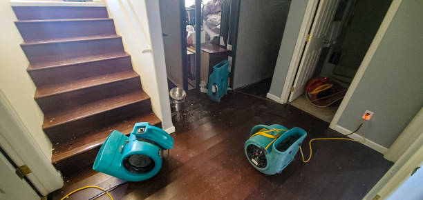 Best Water damage restoration process  in Brookville, PA