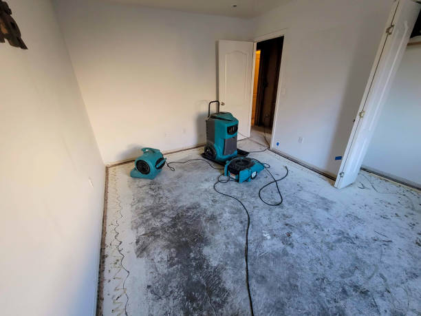 Best Carpet water damage restoration  in Brookville, PA