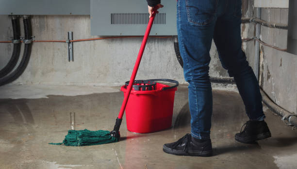 Best Flood restoration services  in Brookville, PA