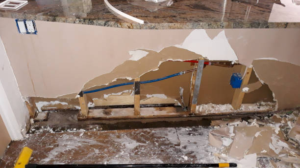 Best Mold removal after water damage  in Brookville, PA