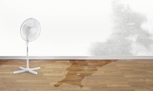 Best Professional water damage repair  in Brookville, PA
