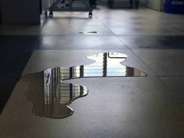 Best Water damage restoration process  in Brookville, PA