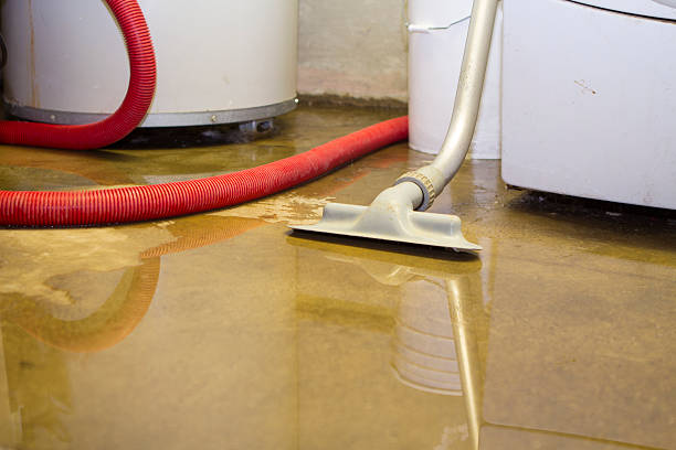Best Emergency water damage restoration  in Brookville, PA