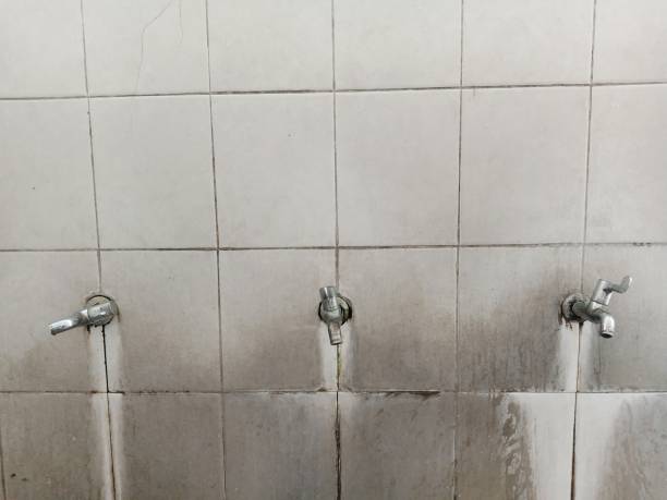 Best Water damage restoration company  in Brookville, PA