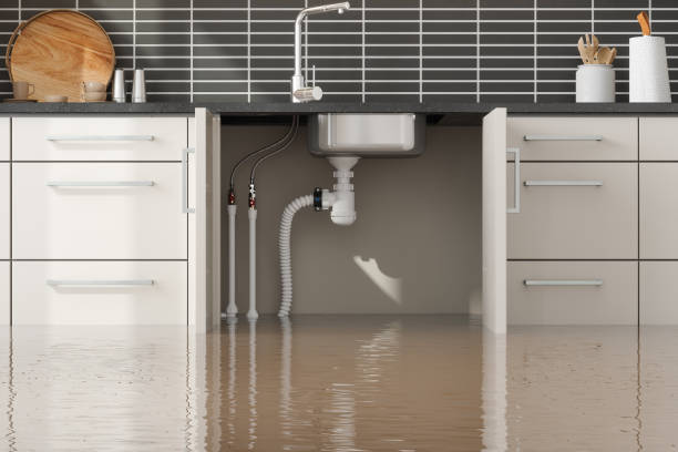 Best Flooded house restoration  in Brookville, PA