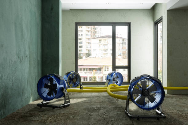 Best Basement water damage restoration  in Brookville, PA