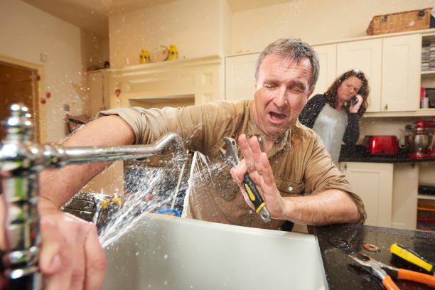 Best Sewage cleanup and water damage restoration  in Brookville, PA